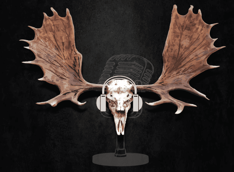 A moose skull with headphones on it's head.