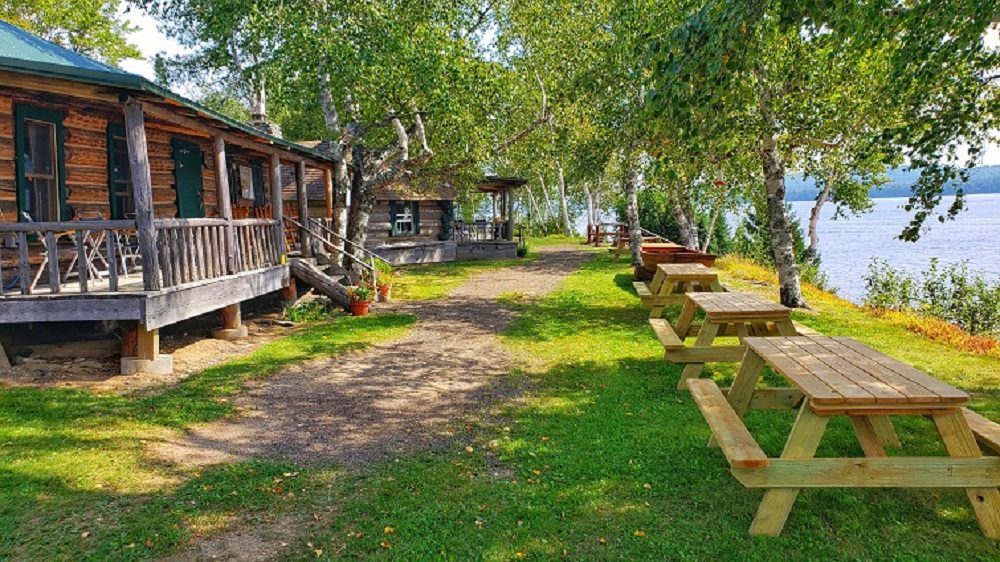 A picnic area with benches and trees in the background.