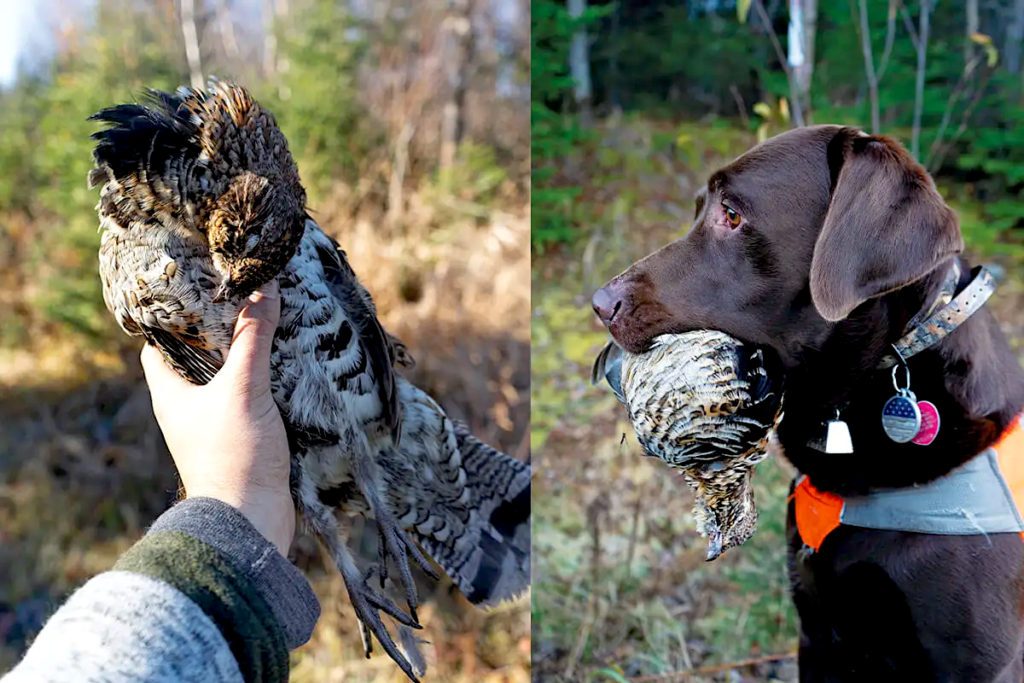 A person holding two birds and a dog