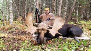 A man in brown jacket holding rifle near moose.