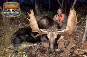 A man sitting in front of two large moose.