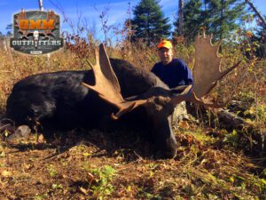 A man standing next to a large bull moose.