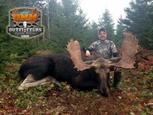 A man sitting next to a large moose.
