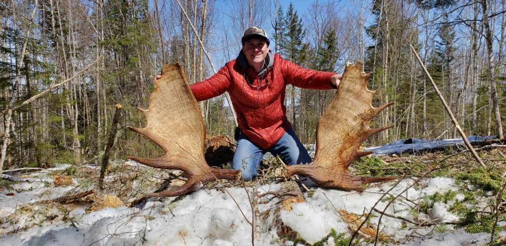 Man holding large moose antlers in woods.