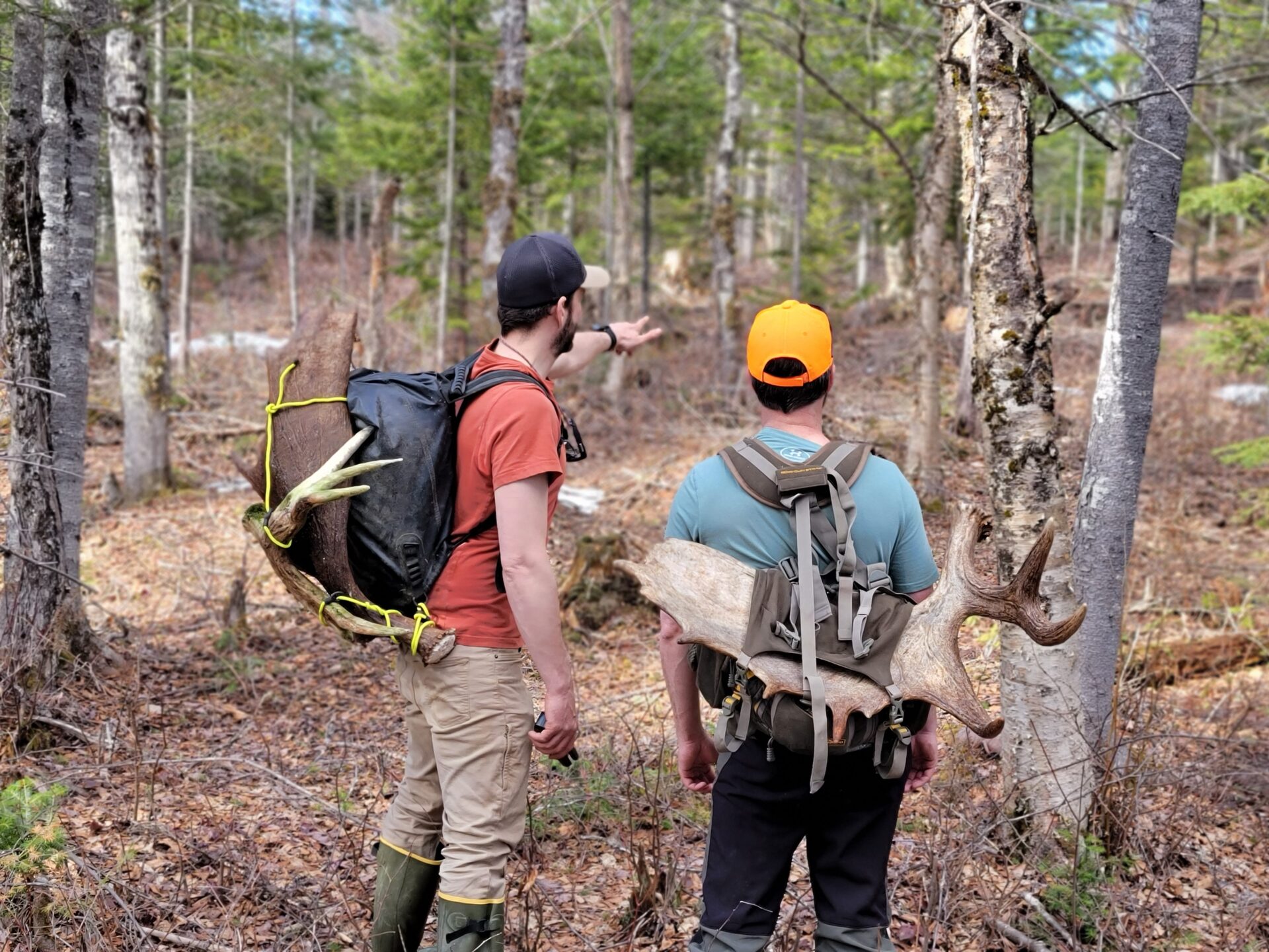 Two men with antlers in the woods.