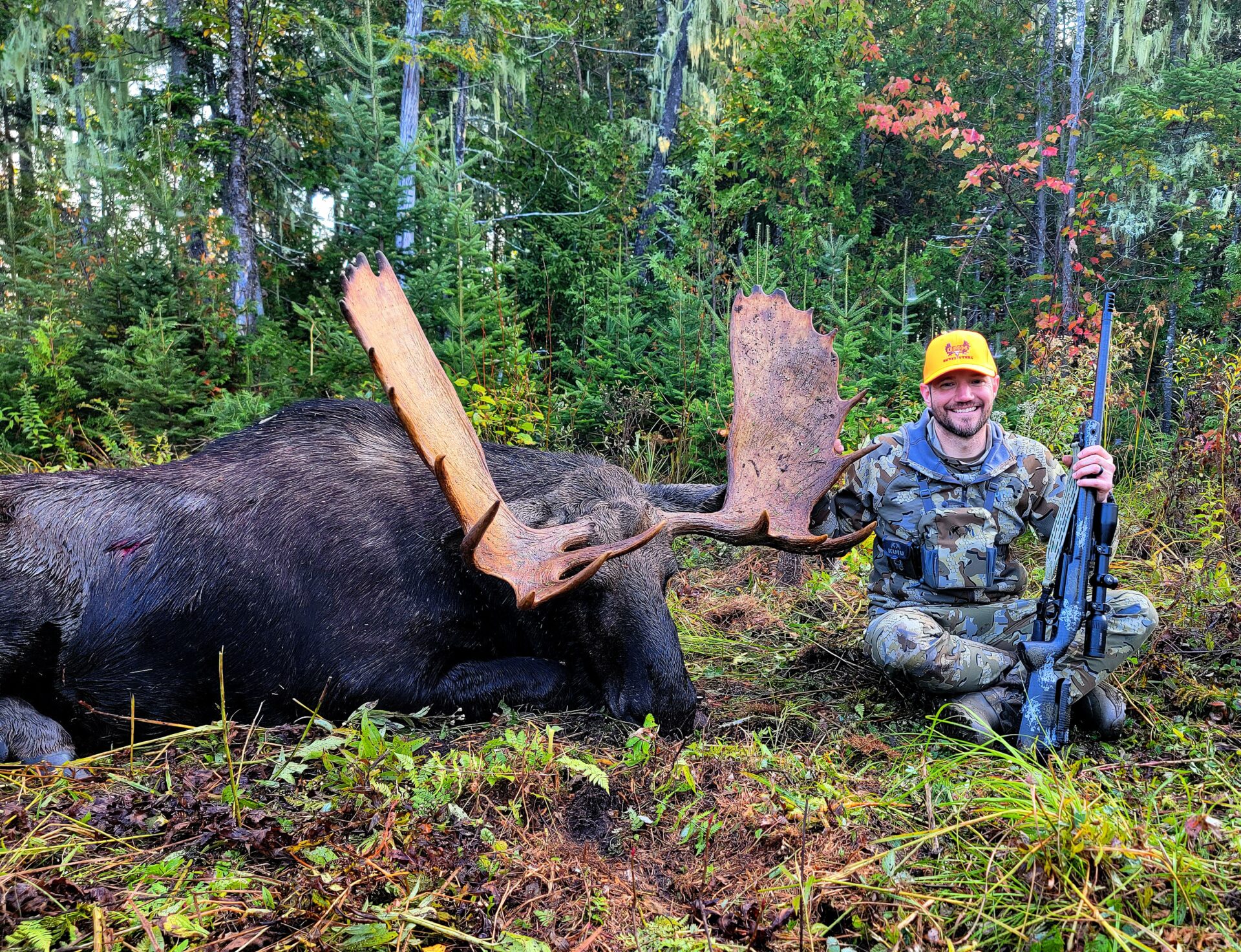 Hunter with a harvested moose in the forest.