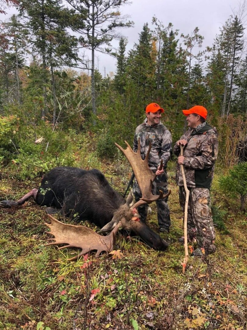 Two hunters with a harvested moose.