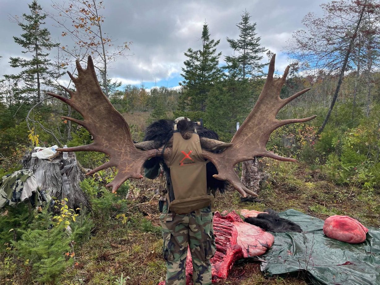 Hunter carrying large moose antlers.