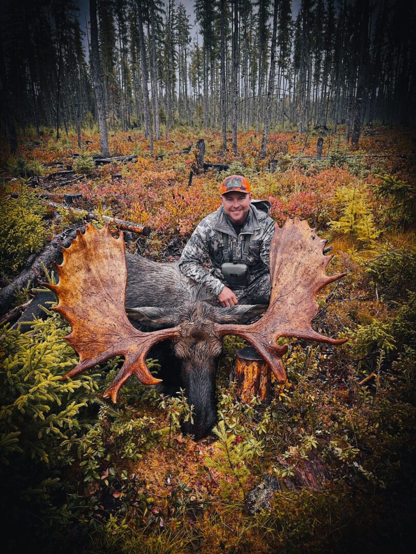 Man with a harvested moose in a forest.