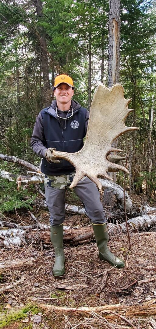 Man holding large moose antlers in woods.