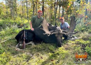 Two hunters with a harvested moose.